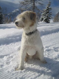 2004-Gonzo-Marco-2010-2