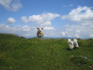 2004-Gonzo-Marco-2010-3