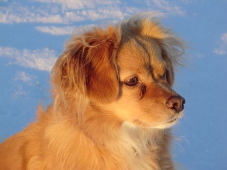 2004-Nele-Dolcey-2010