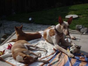 Benito-Oktober09-2-09