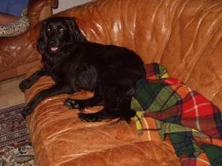 2004-TSV-Ibeth 2004-TSV-Ibeth