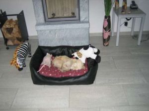 Abuelo-Nikki21-12-07