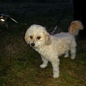 Beja-HE05-3 Beja-HE05-3