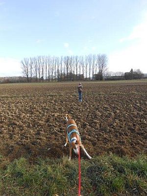 Carlo-Podiw.-12-HE31