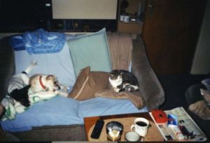 Emily-Gabriela-05-HE1