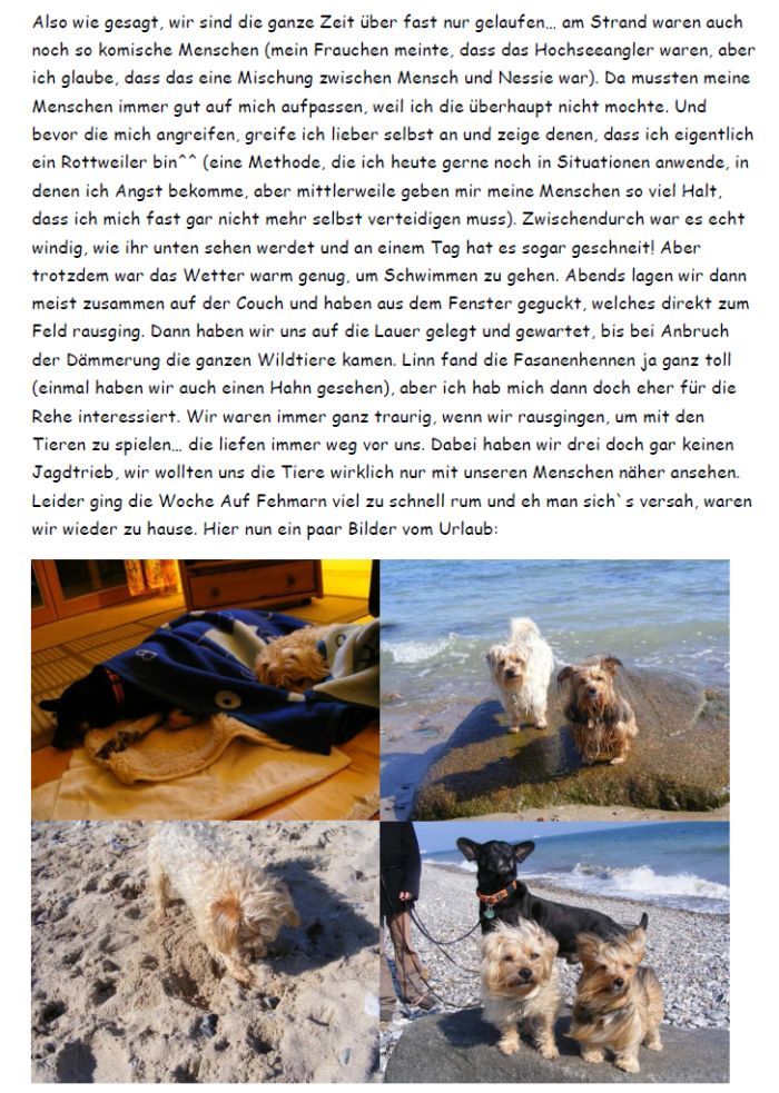 Lucky_Rudi-2008-2-HE05