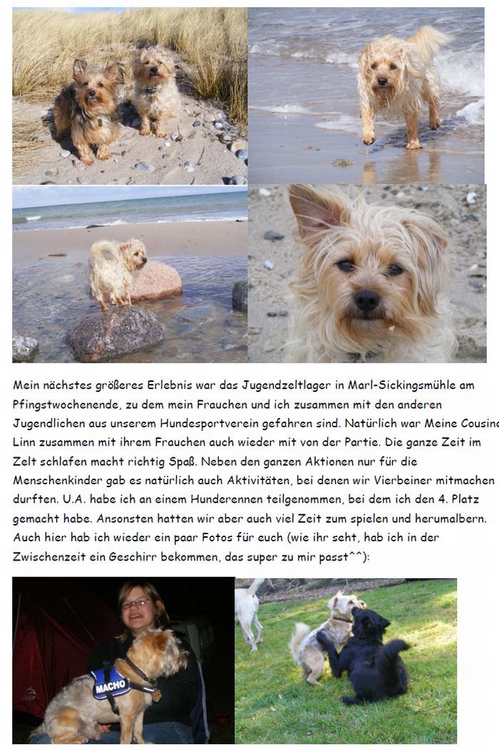 Lucky_Rudi-2008-3-HE05