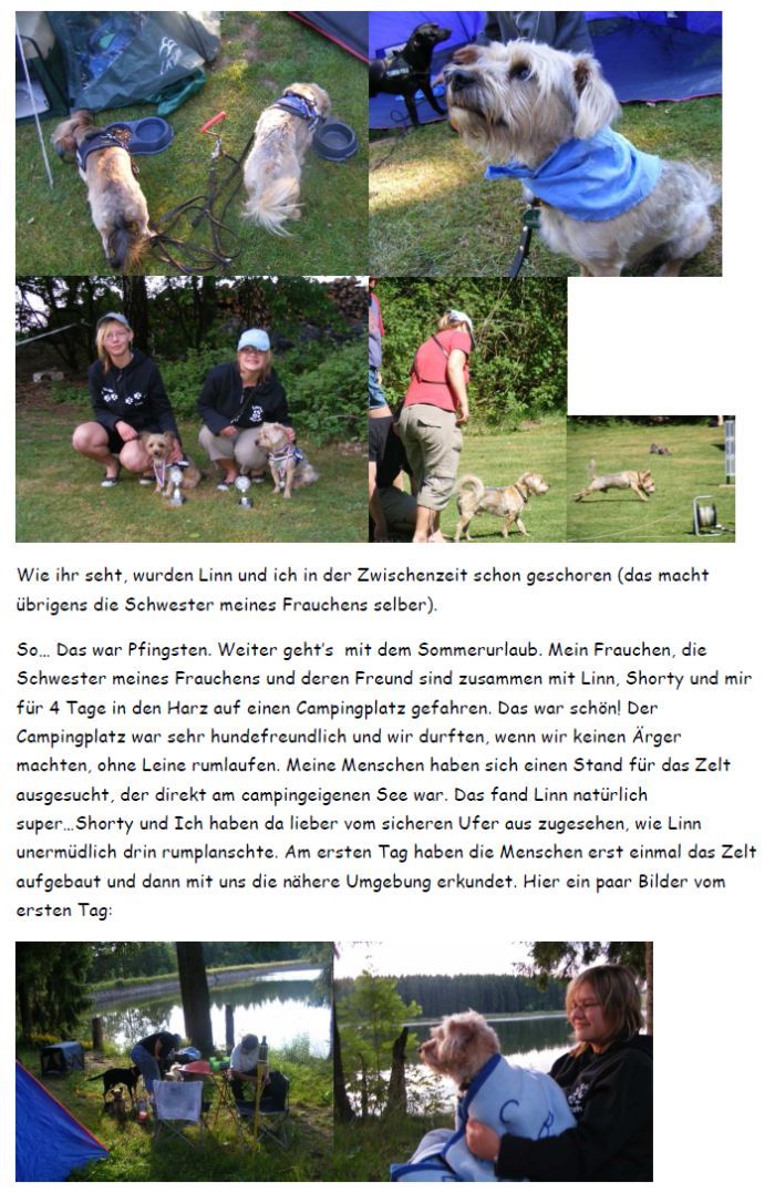 Lucky_Rudi-2008-4-HE05