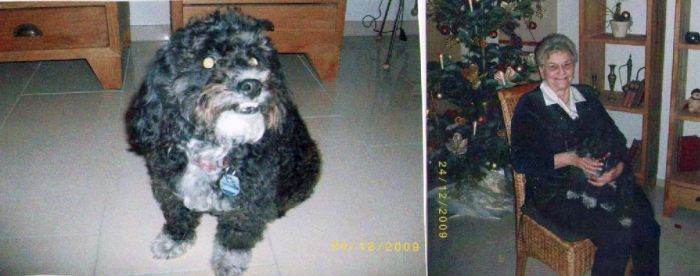 Mini-Blakcy-HE1 Mini-Blakcy-HE1