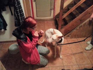 Nisa12-HE3 Nisa12-HE3