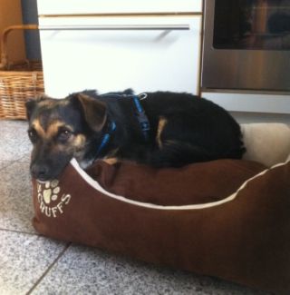 Onno12-HE1 Onno12-HE1