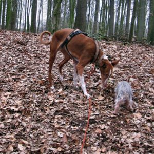 Pia-Princessa10-HE10