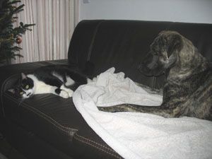 Sammy_Bardino-6-2008