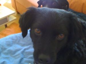 Tammi und Jos� -guck, guck--HE05