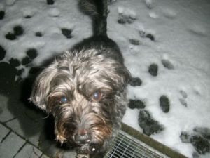 Tarabas_Lucky12-09-4