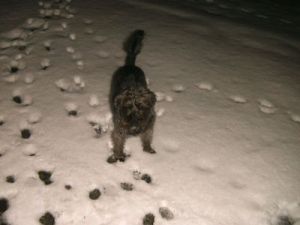 Tarabas_Lucky12-09-5