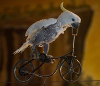 schwabenpark2 schwabenpark2